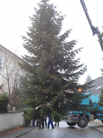 Christbaum 2011